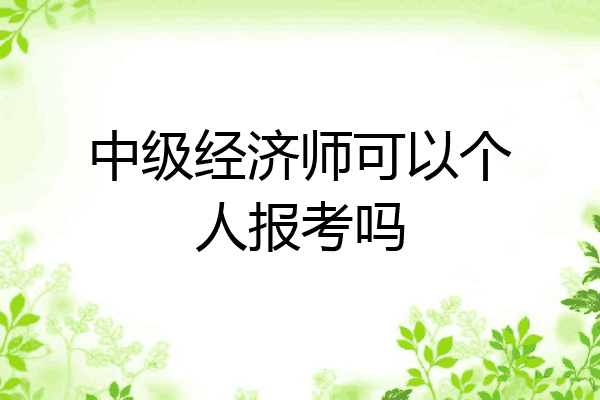 中级经济师可以个人报考吗