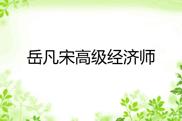 岳凡宋高级经济师