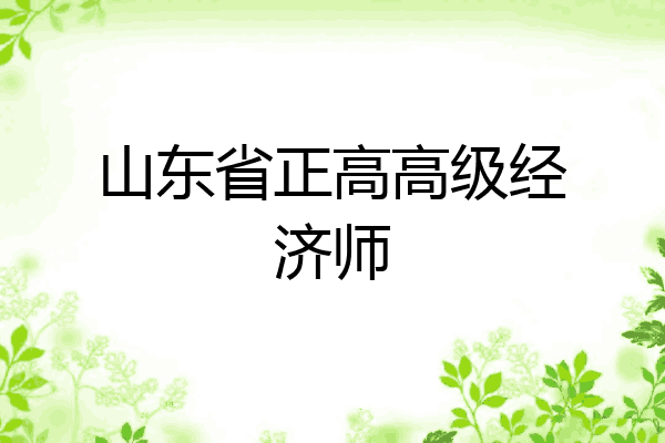 山东省正高高级经济师