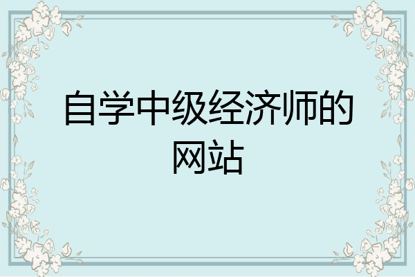 自学中级经济师的网站