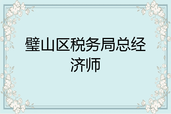 璧山区税务局总经济师