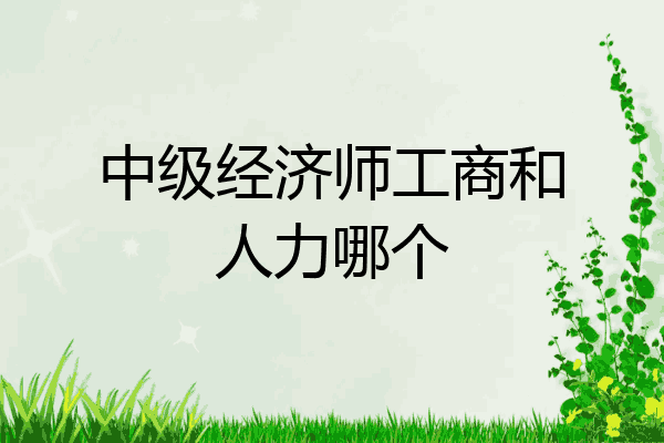 中级经济师工商和人力哪个