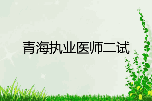 青海执业医师二试