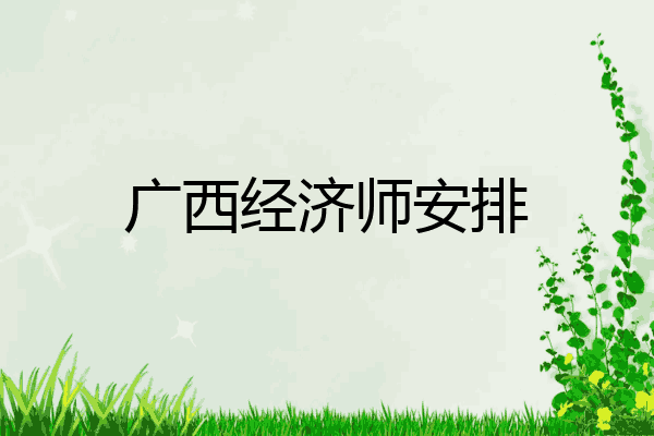 广西经济师安排