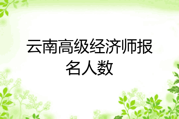 云南高级经济师报名人数