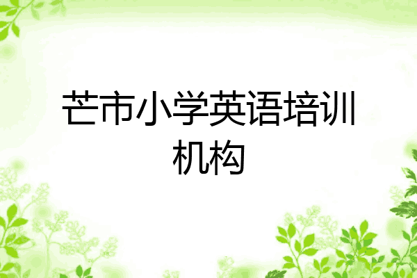 芒市小学英语培训机构