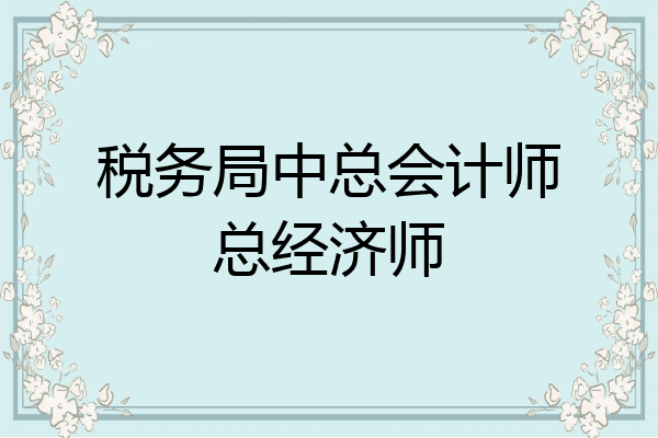 税务局中总会计师总经济师