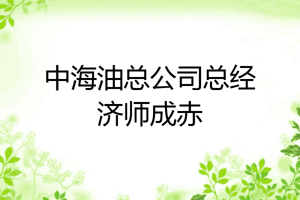 中海油总公司总经济师成赤