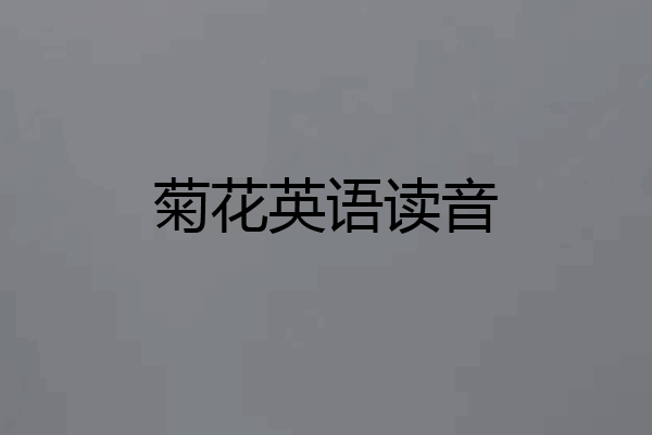 菊花英语读音