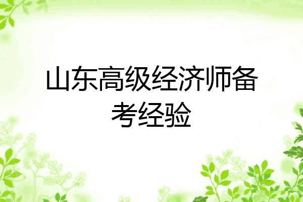 山东高级经济师备考经验