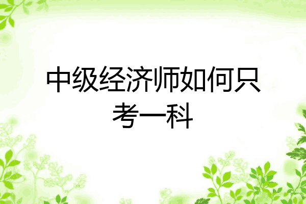 中级经济师如何只考一科