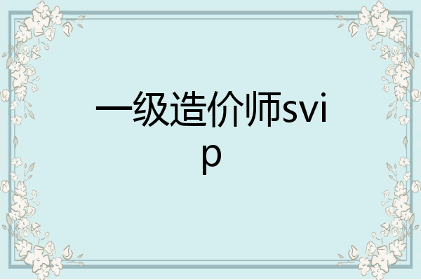 一级造价师svip