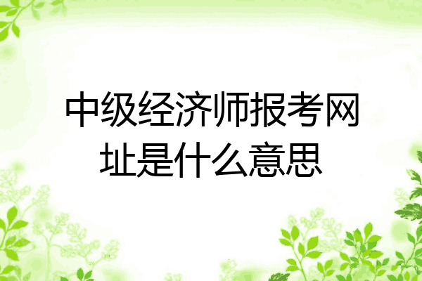 中级经济师报考网址是什么意思