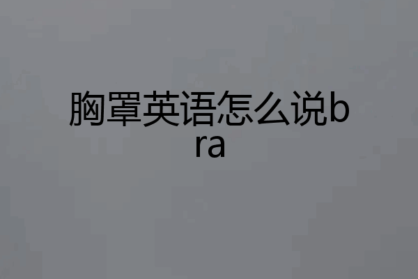 胸罩英语怎么说bra