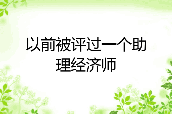 以前被评过一个助理经济师