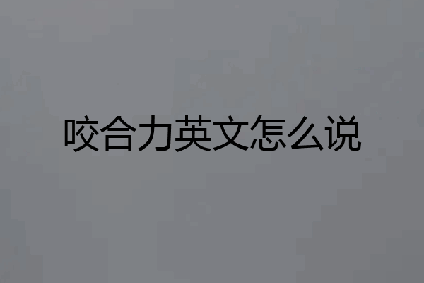咬合力英文怎么说