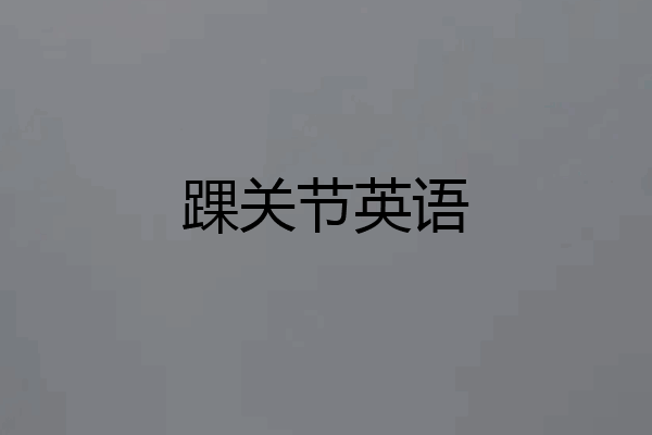 踝关节英语