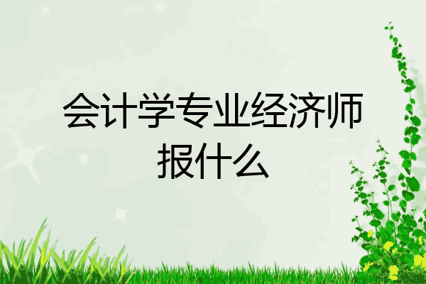 会计学专业经济师报什么