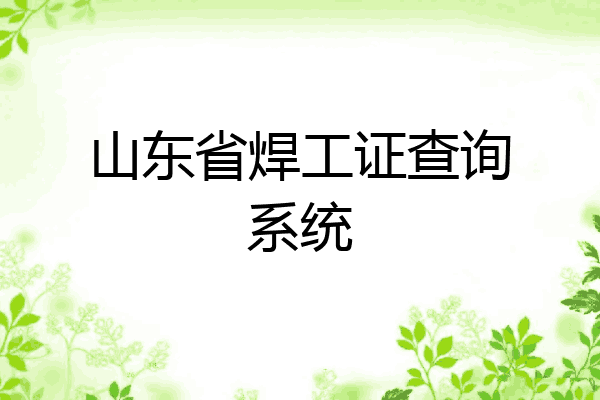 山东省焊工证查询系统