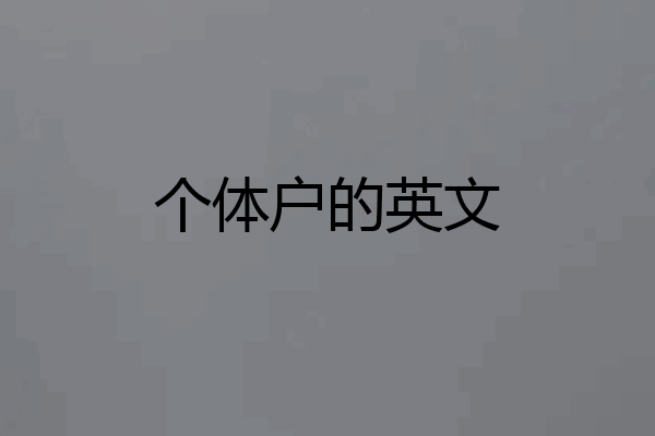 个体户的英文