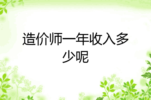 造价师一年收入多少呢