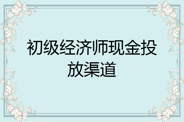 初级经济师现金投放渠道