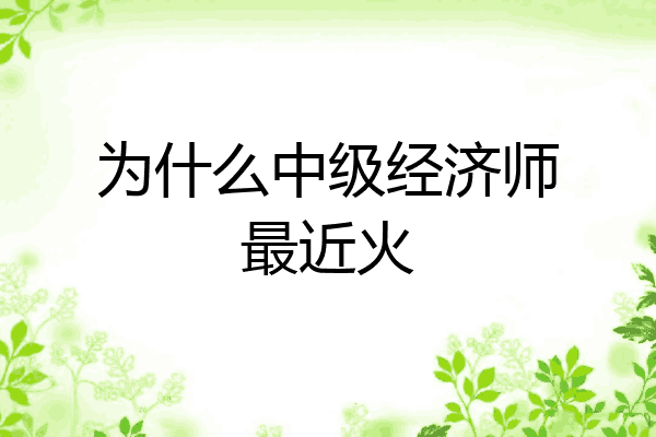为什么中级经济师最近火