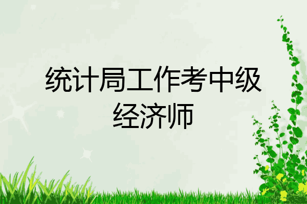 统计局工作考中级经济师