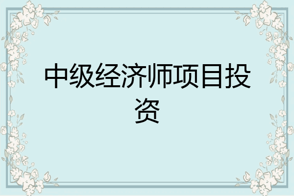 中级经济师项目投资