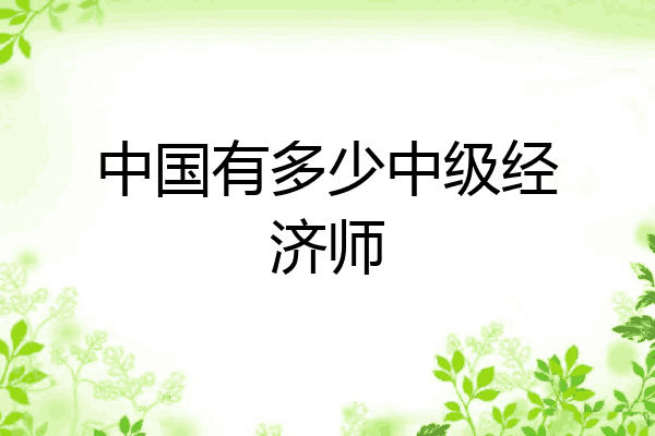 中国有多少中级经济师