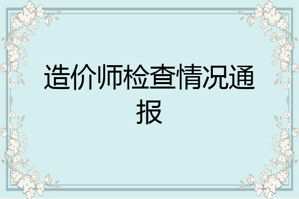 造价师检查情况通报