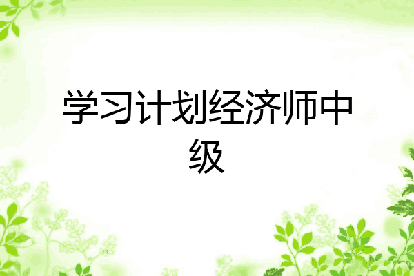学习计划经济师中级