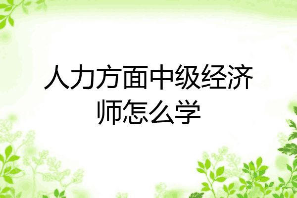 人力方面中级经济师怎么学