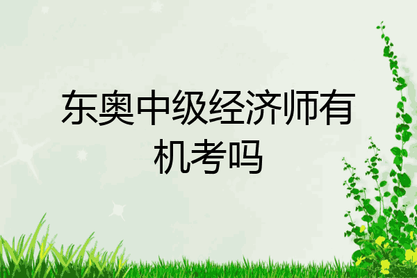 东奥中级经济师有机考吗