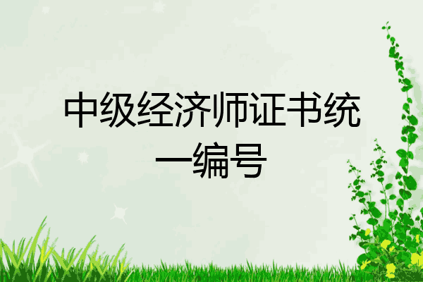 中级经济师证书统一编号