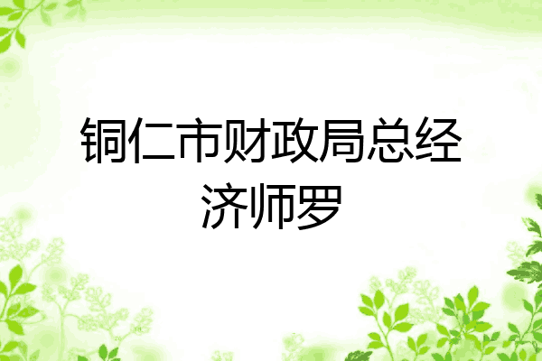 铜仁市财政局总经济师罗