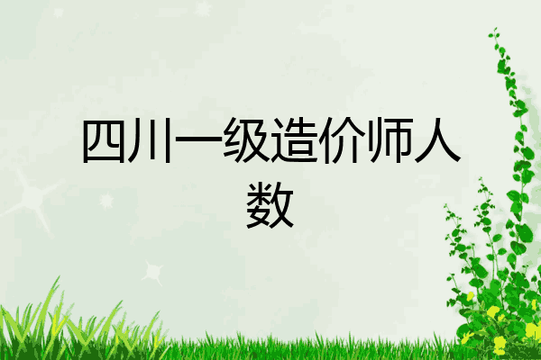 四川一级造价师人数