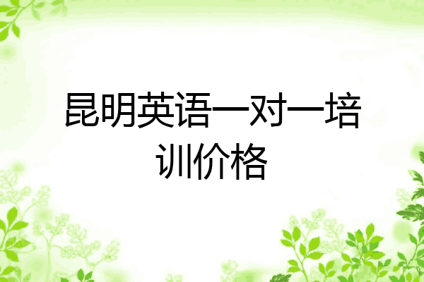 昆明英语一对一培训价格