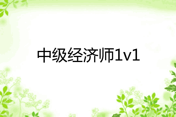 中级经济师1v1