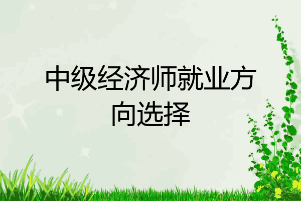 中级经济师就业方向选择