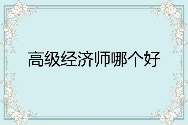 高级经济师哪个好