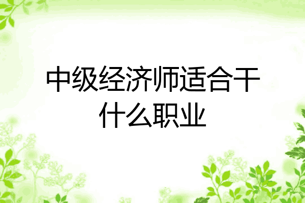 中级经济师适合干什么职业