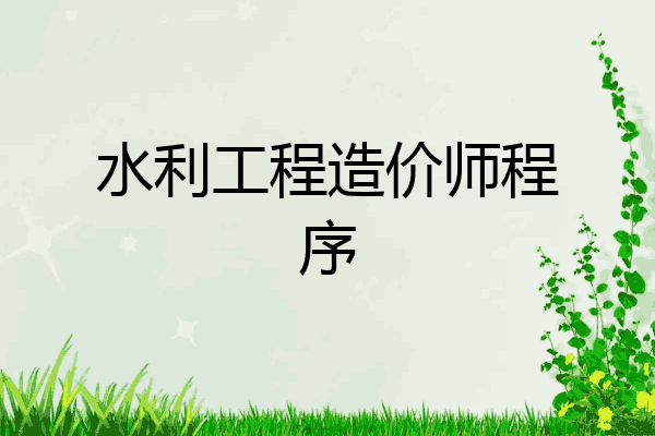 水利工程造价师程序