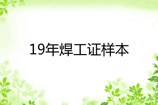 19年焊工证样本
