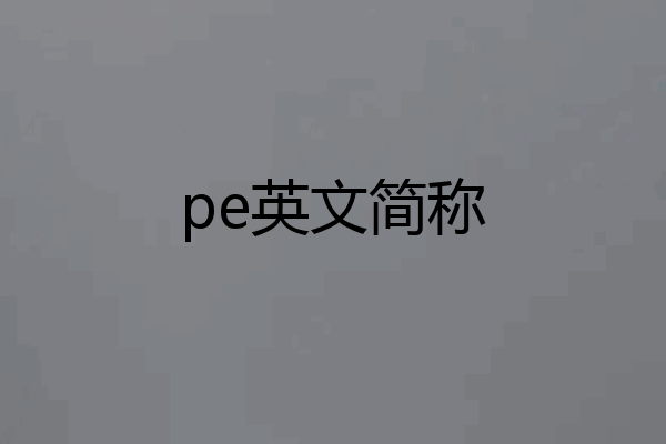 pe英文简称