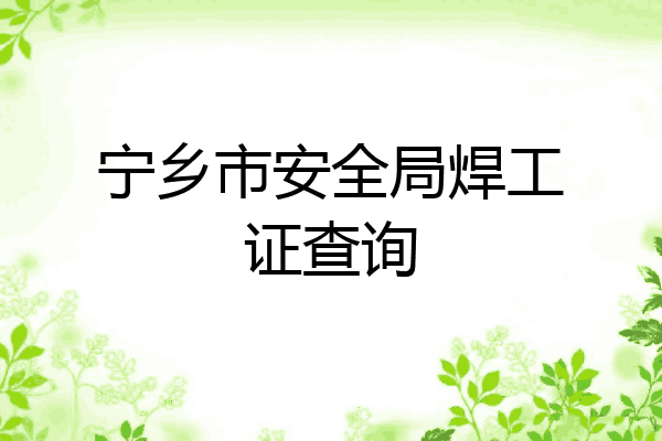 宁乡市安全局焊工证查询