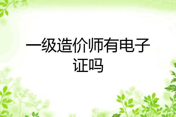 一级造价师有电子证吗