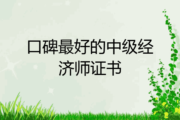 口碑最好的中级经济师证书