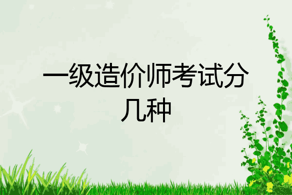 一级造价师考试分几种