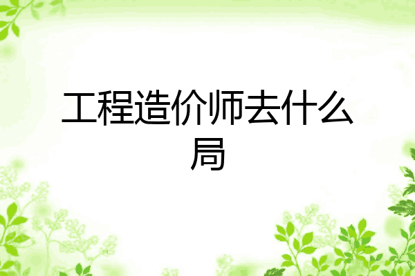 工程造价师去什么局